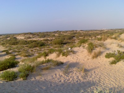 2006_01_21_nueva_umbria_dunas.jpg