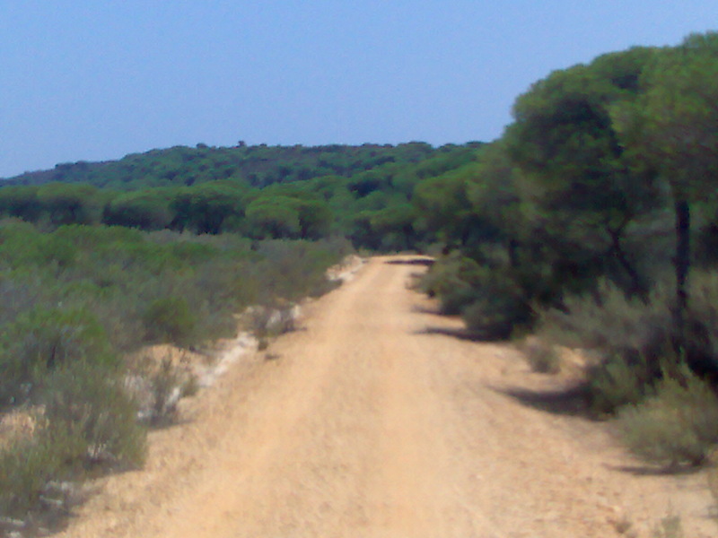 2006_03_14_carril_bici_mazagon_matalascanas.jpg