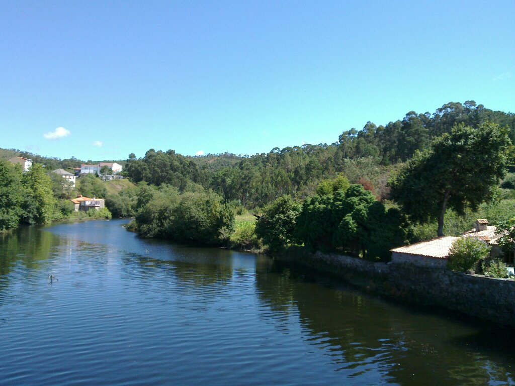 20100820_019.jpg