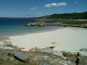 20100820_029-300x225.jpg
