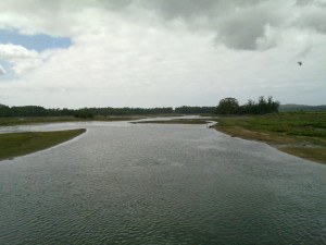 20100827_010-300x225.jpg