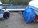 Foto 4 - Fiesta del Agua