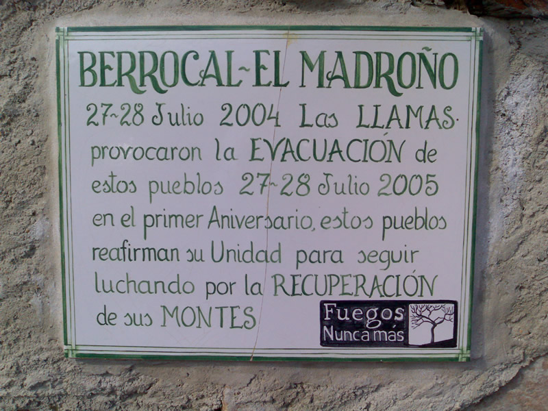 2007-01-20_berrocal_plantacion_02.jpg