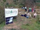 2007-01-20_berrocal_plantacion_03.miniatura.jpg