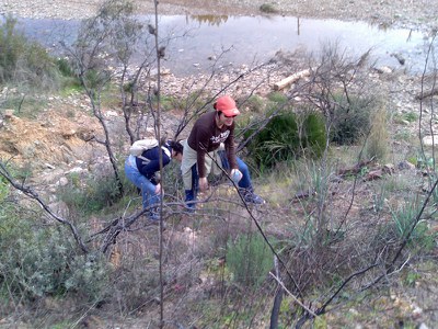 2007-01-20_berrocal_plantacion_06.jpg