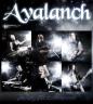 Cartel Avalanch