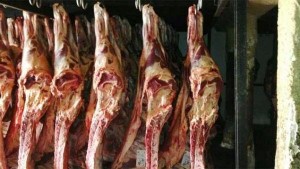 carne-300x169.jpg