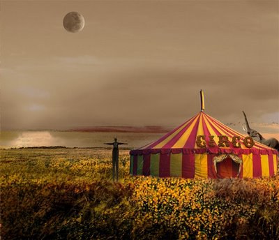 circo-1.jpg