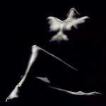 desnudo-150x150.png