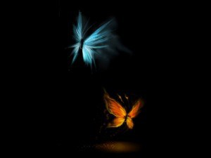 mariposas-300x225.jpg