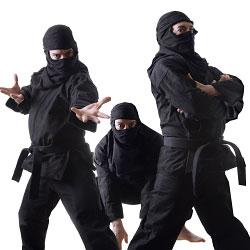 ninjas.jpg