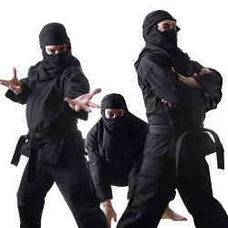ninjas.jpg