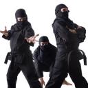 ninjas.thumbnail.jpg