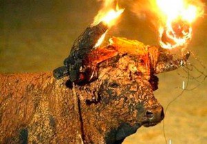 toro-300x210.jpg